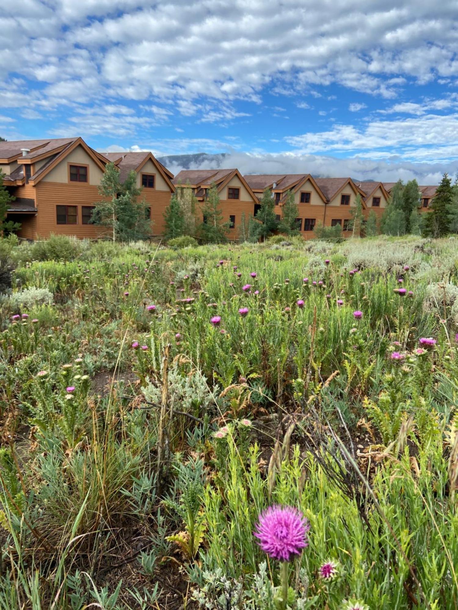 Antlers Gulch 303 By Summitcove Lodging キーストーン エクステリア 写真